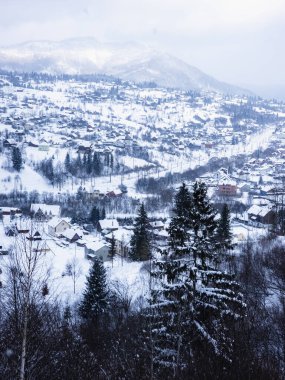 Karpatlar 'ın bir kış günü manzarası.