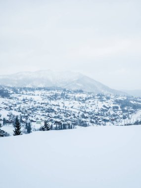 Kış manzarası. kar ve köknar ağaçları