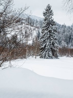 İtalyan Alpleri'nde kış