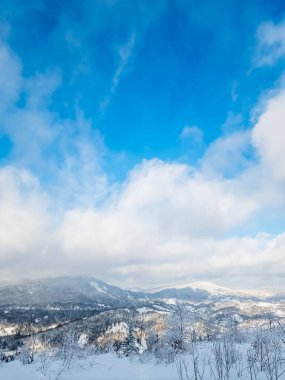 kar ve mavi gökyüzü ile güzel manzara