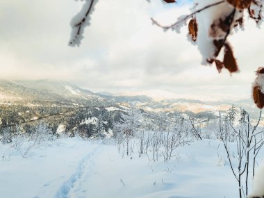 Köydeki karlı dağların kış manzarası.