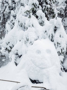 Karla kaplı ağaçlarla kaplı kış manzarası