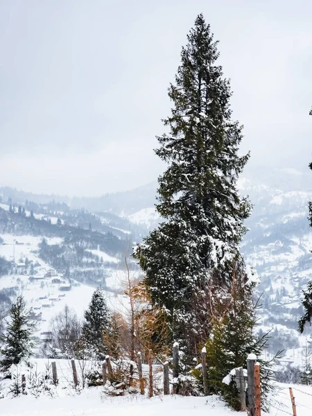 Karda kış dağı manzarası