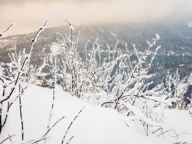 Karla kaplı kış dağı manzarası - ormanlar ve köknar ağaçları
