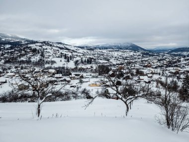 Karla kaplı ağaçlar ve dağlarla kaplı kış manzarası