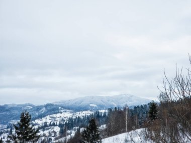 Kışın karlı dağ manzarası