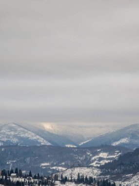 Karla kaplı ağaçlarla kaplı kış manzarası