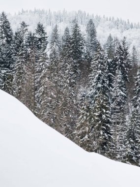 Karla kaplı ağaçlarla kaplı kış manzarası