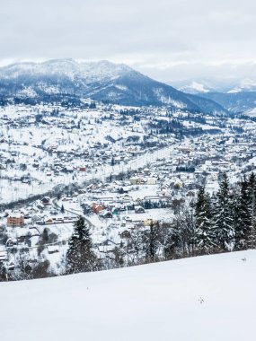 Karla kaplı ağaçlarla kaplı kış manzarası