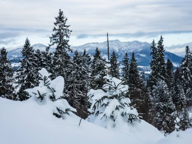 Alplerin kış manzarası, İsviçre
