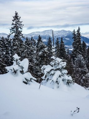 Dağlarda karla kaplı ağaçlarla kaplı karlı kış manzarası