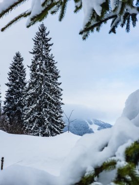 Güzel kış manzarası karlı ağaçlar ve karla kaplı dağlar.
