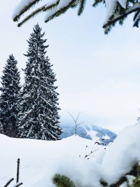 Karpat Dağları kar