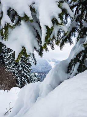 Karlı kış manzarası
