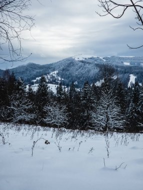 Kış manzarası ile kar ve orman
