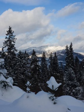 Karpatlar 'daki Ukraynalı Karpatların kış manzarası