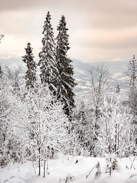 Romanya 'nın Karpat Dağları' nın kış manzarası