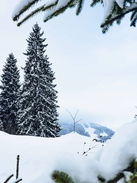 Karpat Dağları kar