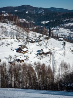 Karla kaplı ağaçlarla kaplı kış manzarası