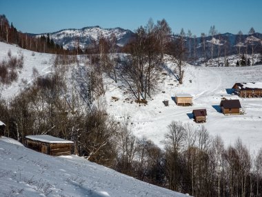 Karla kaplı ağaçlarla kaplı kış manzarası