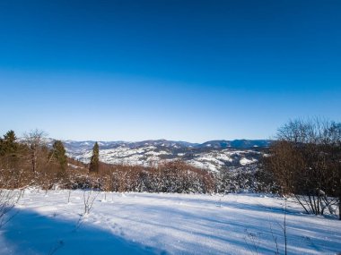 Karla kaplı ağaçlarla kaplı güzel kış manzarası