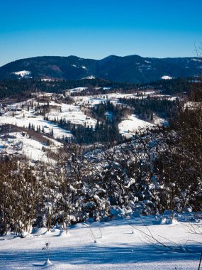 Kış manzarası çok karlı.