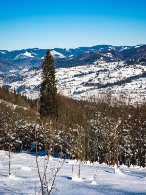 Fransız pirenelerinde kış
