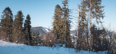 Lapland Finland kışın