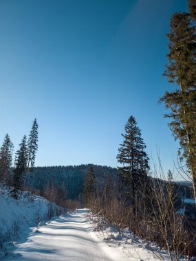 Karlı güzel kış manzarası