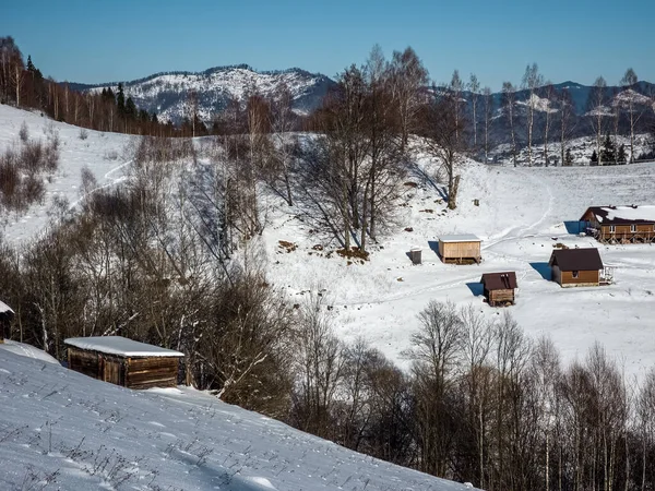 Karla kaplı ağaçlarla kaplı kış manzarası