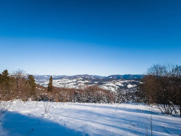 Karla kaplı ağaçlarla kaplı güzel kış manzarası