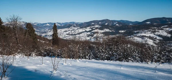 Karlı kış manzarası