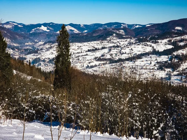 Ağaçlar ve karla kaplı kış manzarası