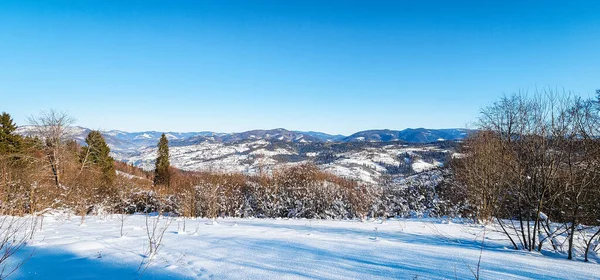 Dağları ve ağaçları kaplayan kış manzarası