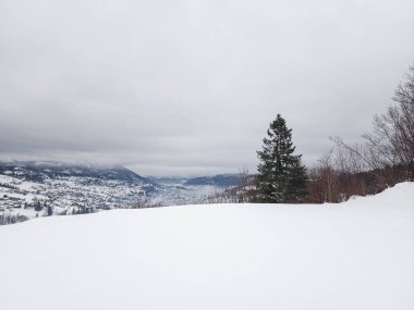 Karla kaplı ağaçlarla kaplı güzel kış manzarası