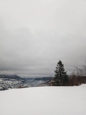 Kış manzarası karla kaplı tepeler