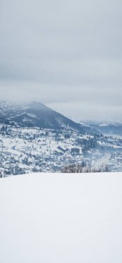 Karla kaplı ağaçlarla kaplı güzel kış manzarası