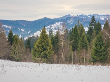 Karlı, güzel bir kış manzarası. Arkasında ağaçlar ve dağlar var.