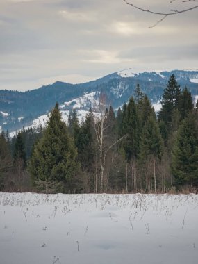 Karlı güzel kış manzarası