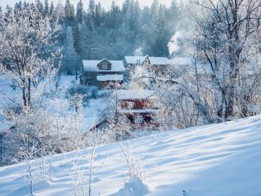 Karla kaplı ağaçlarla kaplı kış manzarası