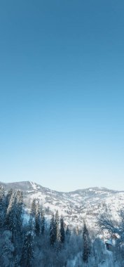 Güzel karlı dağlar karla kaplı ağaçlarla kaplı.