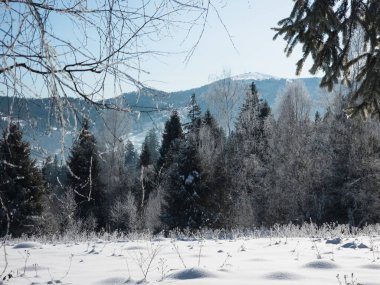 Karlı güzel kış manzarası