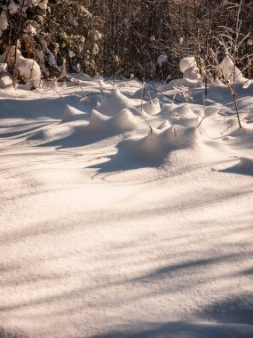 Kış manzarası. Karlı kış ormanı.