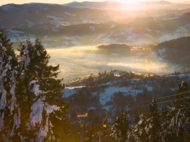 Karla kaplı ağaçlarla kaplı güzel kış manzarası