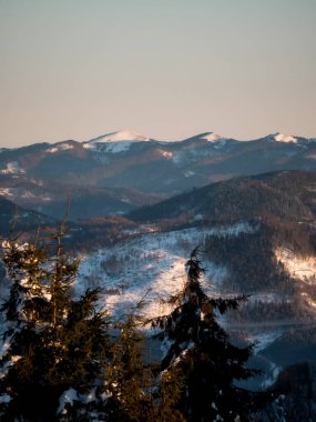 Karla kaplı ağaçlarla kaplı güzel kış manzarası