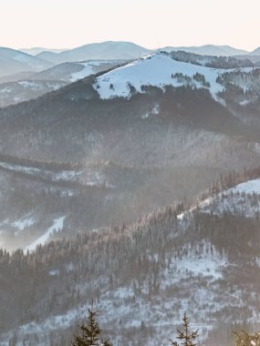 Ağaçlar ve karla kaplı güzel kış manzarası