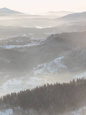 kış sabahı ormanda