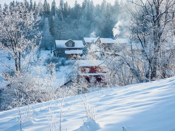 Karla kaplı ağaçlarla kaplı kış manzarası