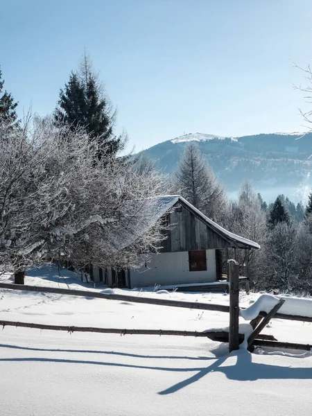 Karla kaplı ağaçlarla kaplı kış manzarası