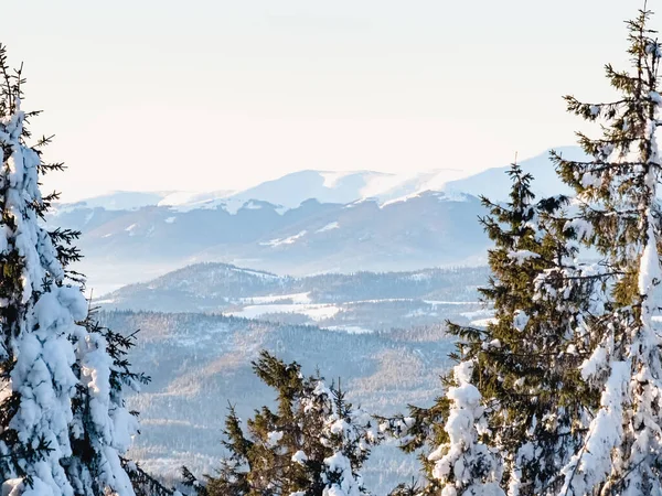 Güzel karlı kış dağları